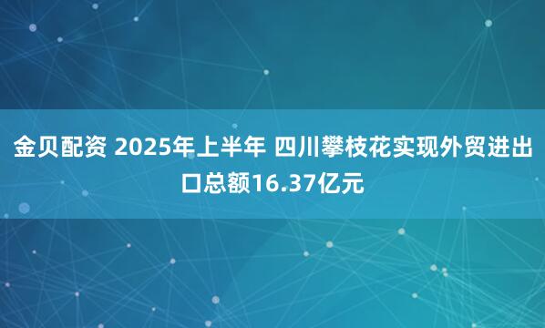 金贝配资 2025年上半年 四川攀枝花实现外贸进出口总额16.37亿元