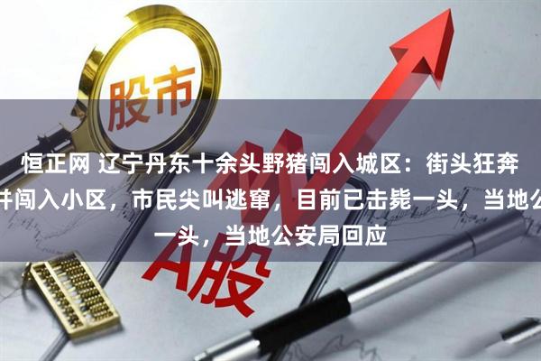 恒正网 辽宁丹东十余头野猪闯入城区：街头狂奔追逐行人并闯入小区，市民尖叫逃窜，目前已击毙一头，当地公安局回应