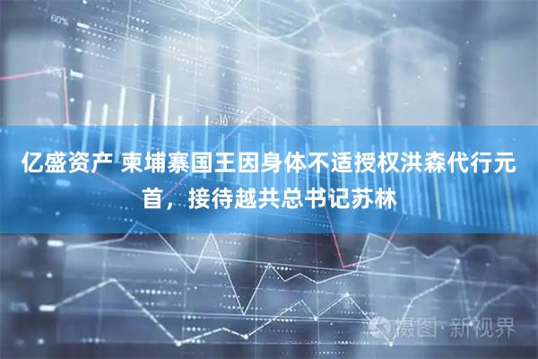 亿盛资产 柬埔寨国王因身体不适授权洪森代行元首，接待越共总书记苏林